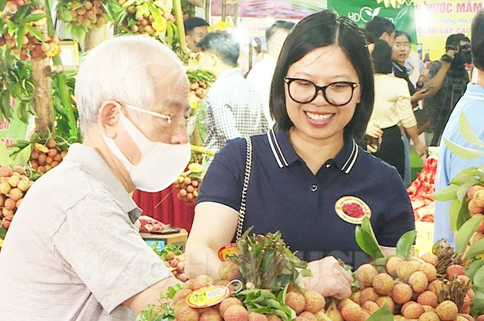 Hai Duong lychees conquer domestic market